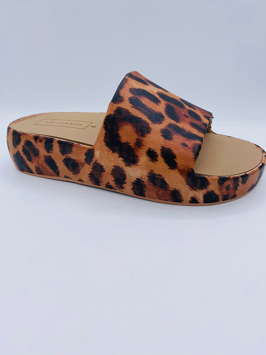 Jumanji Jelly Slides